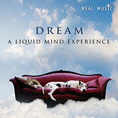 Dream: A Liquid Mind Experience album cover