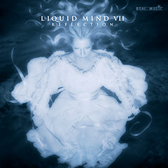 Liquid Mind VII Reflection album cover