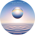 Album cover art for Liquid Mind XIV: Simplicity