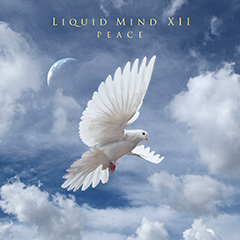 Listen to a song from Liquid Mind XII: Peace